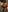 Evelyn_Evyyy Fantasy combined with naked Pic 5