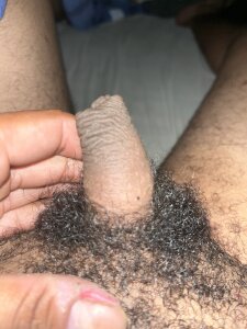 El_ColeroPublic图片 4