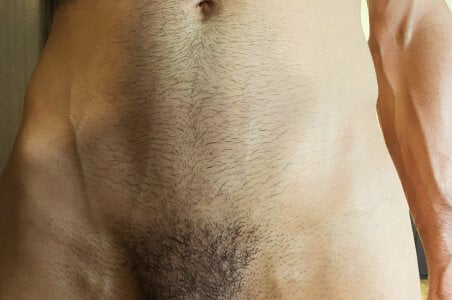 gatoquiles abdominal muscles, veins, and hair รูป 