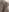 MeowMeowZoe Shaved pussy Pic 6