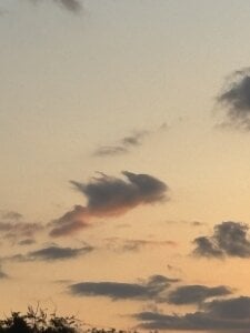 hi_ka_ri0728ぴかりんの日常♡ Bild 3