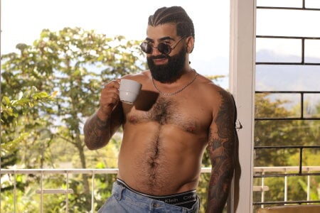 Lyon_vach leon ganster Gambar 9