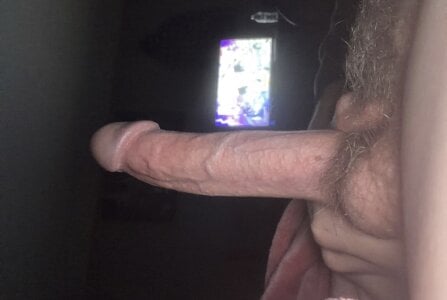 Public de CollegeBull19  Imagens