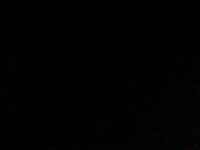 Pistacchio01 Public Pic 4