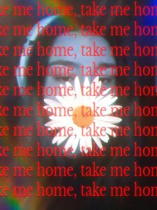 RiotKitten1 Pink Mood 🎀 slika