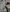 cindyledollTraveling照片 3