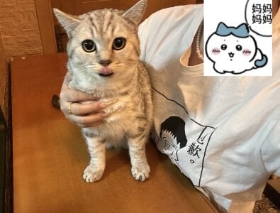 -sanhuamao- 家庭成员 사진 2