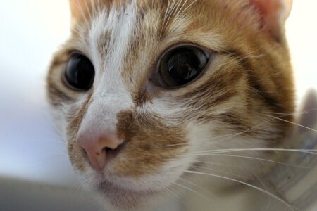 abbyhall_ The loves of my life 🥹 Pic 4