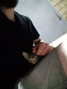 KaelNox Me and cat Εικόνα 2