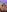 DianaHopsonFull naked照片