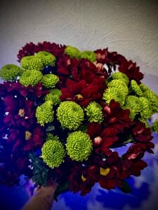 evaharveHi❤️thank you so much for these flowers. @Gundulbert Bild