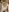 vanda26hot Black Dildo and Facial Pic