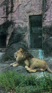 PickUp_me 的XXX裸体图片 1