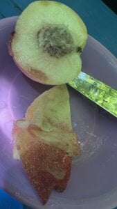 Naco_75のPublicの枚の写真