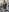 AranzaLatinBlacks Black Girl 2025 Pic 9