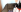 gunter_meiner What I'm doing for fan subscription 사진 3