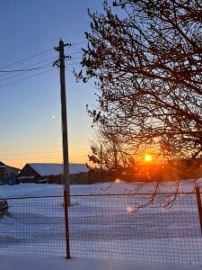 EvaThopson winter❄️ Bilde