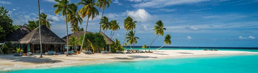 Andy_Max my dream صورة واحدة|Andy_Max my dream صورتان|Andy_Max my dream  صور|Andy_Max my dream  صورة