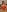 Ragdoll131 Red babydoll - felt cute 🥰 Pic