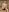 NicolasMave naked oudoor Pic 4