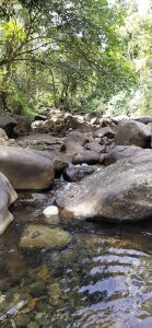 Nidhinchirackal Public Pic 3