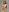 Victoria_adaams My natural body naked🔥 Pic