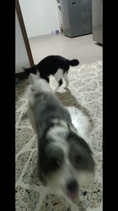 Alex-Harrington Public Billede 4