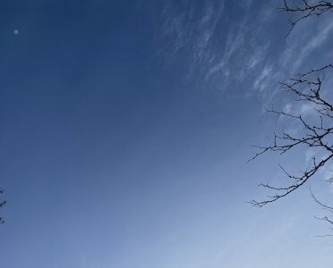 Nana_with Public Poză 5