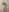 FayeFlame Stripped for You Pic 2
