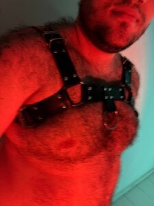 big_bearrrのDominant bearの 3枚の写真