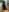 BonnyundClyde19 Leder und Spitze Pic 3