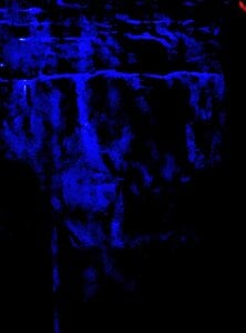 Alleinzuhause Das Auge findet die Art. Pic