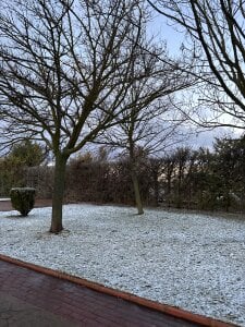 Lily_WellGifted: 2026 ( 4 фото)