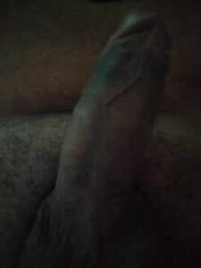 Public de BrownieGuyBr  Imagens