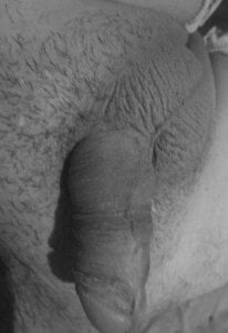 torresflow99nais Public Pic 3