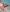 lolitaalovee Lolitaa au bord de l'eau Pic 3