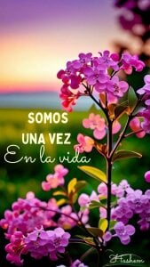 pahulamontero Public  2. fénykép