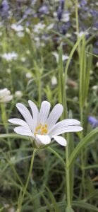 FreezingTie850 Public รูป 