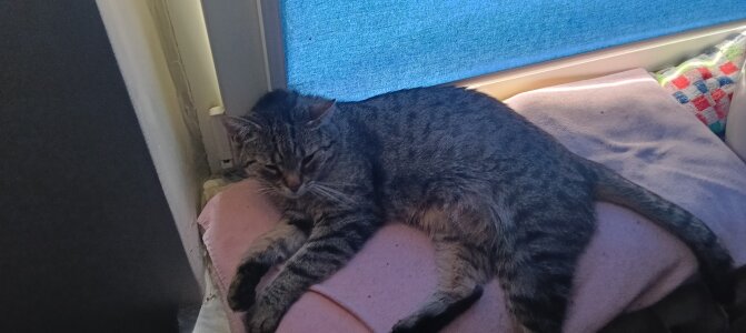 OrGaZmaxxx Public Pic 3