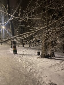 inga_gree A little bit about my life Billede 4