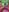 vixendoll87: Wanna taste? ( фото)