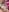 yourprettykate All my naked body Pic 4