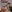 Jazmin_smith12: harness ( 5 фото)