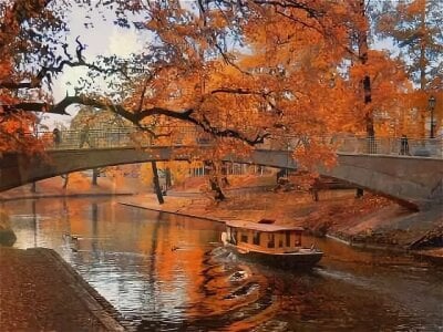 NecoleRemondini Magic autumn 🍂 Pic 2