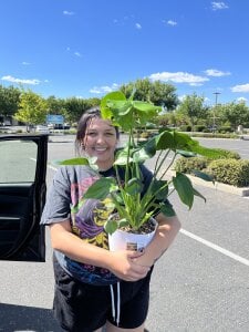 Taste_of_wild Public Pic 5