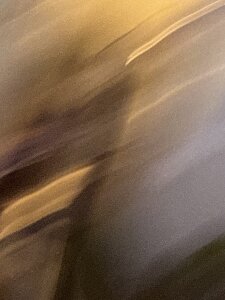 Banandgdjrb Ggg Pic 4