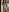 kittlunixx full nudes Photo 2
