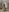 DollyPixel For my fans Pic