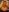 More nudes de isisxoxx  7 fotos