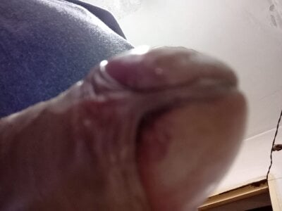 PROHVEL Public Pic 4